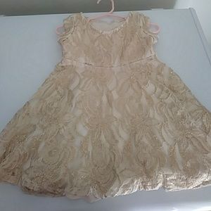 Girls Rare Editions Lace Gold and Cream Dress